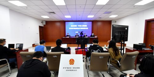 南海社保局，您的生活保障专家