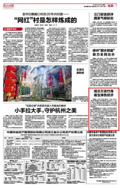 绿色经济新动力，废旧物资增值税政策的深远影响与机遇