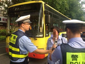 厦门交警网自助处理，便捷高效的交通管理新体验