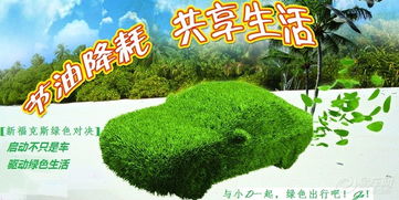 绿色心脏，设施农用地如何滋养我们的未来