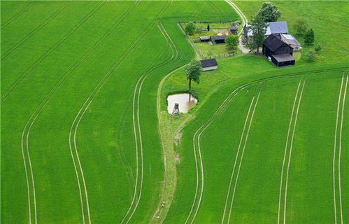 绿色心脏，设施农用地如何滋养我们的未来