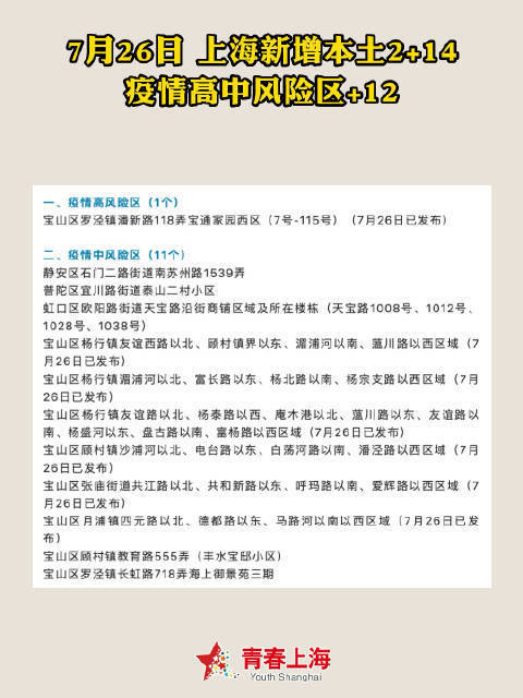 上海新增2例本土确诊，疫情应对策略与个人防护指南