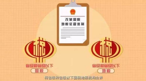 国税网上申报，便捷、高效、透明的税务管理新篇章