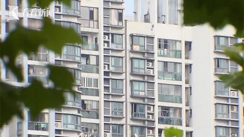 上海养老院政策，温馨家园的守护者