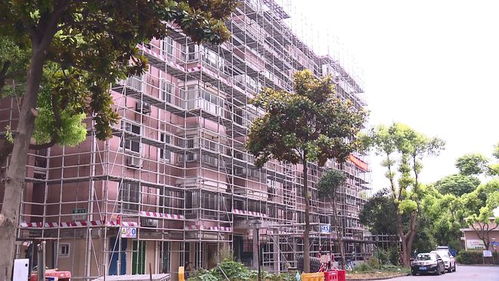 上海养老院政策，温馨家园的守护者