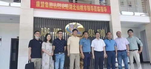 通辽市政府网，连接市民与服务的桥梁