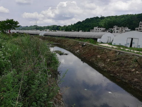 武汉市交通违章查询全攻略，如何便捷查询与处理违章