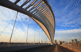 朋友局代理，社交生活的新桥梁