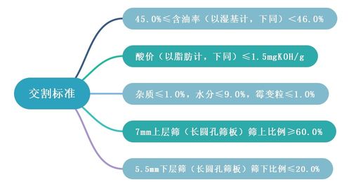 深入了解期货交易，概念、机制与实践指南