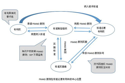 深入理解监督的基本原则，构建有效监管体系的基石