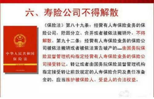 为爱护航，老年人意外保险的全面解析与选择指南