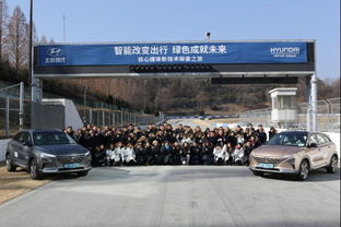 北京事故车出售，化险为夷，经济实惠的选择