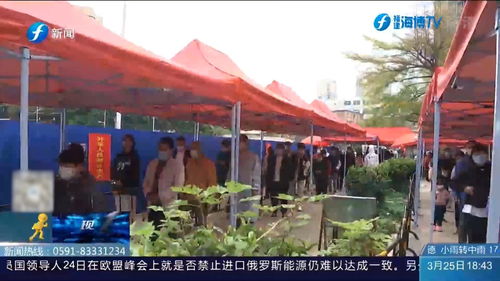 宁波镇海，疫情新动态，共同守护健康家园