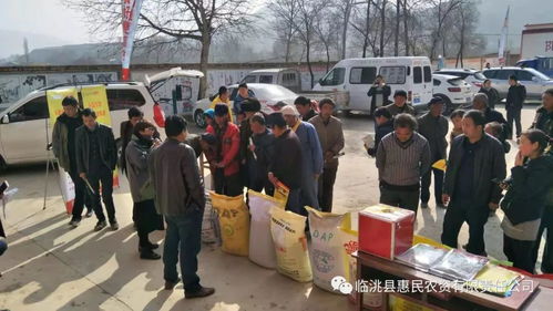 走进万村千乡，市场工程如何点亮乡村经济