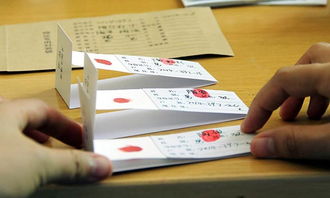 揭开DNA亲子鉴定的神秘面纱，价格解析与实用指南