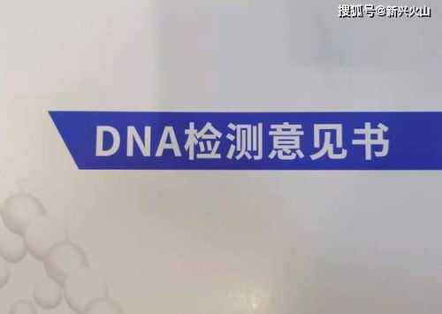 揭开DNA亲子鉴定的神秘面纱，价格解析与实用指南