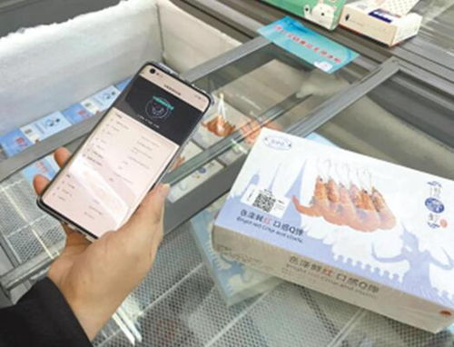 身份证公证，保护身份信息安全的关键步骤