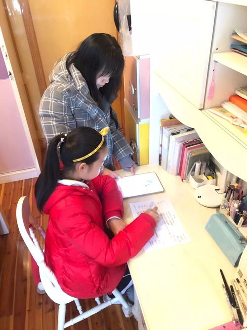 扬州战疫，最新动态与市民生活指南