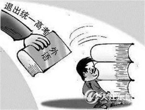 探索称谓的奥秘，文化、语言与社会互动的桥梁