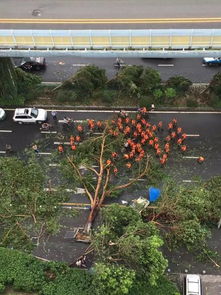 厦门市疫情最新消息，共同守护这座美丽的海滨城市