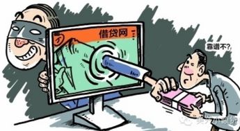 小额信贷公司，金融创新的先锋还是风险的温床？