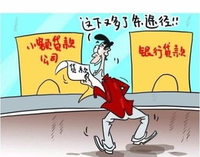 小额信贷公司，金融创新的先锋还是风险的温床？