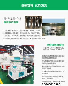 石家庄油改气，环保与经济效益的双重驱动