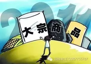 外国人永久居留权，全球视角下的机遇与挑战