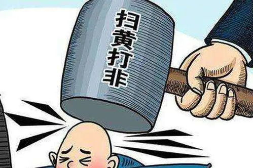 2020年，扫黄行动的持续与社会影响