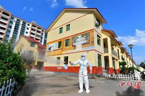 江苏疫情新动态，新增本土确诊病例22例的深度解析与应对策略