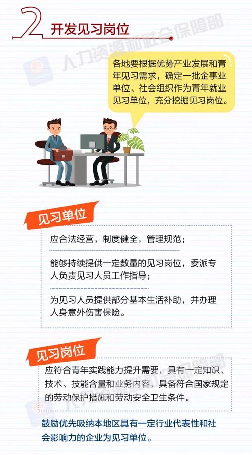 青年节放假规定，了解与解读，青年的权益与责任