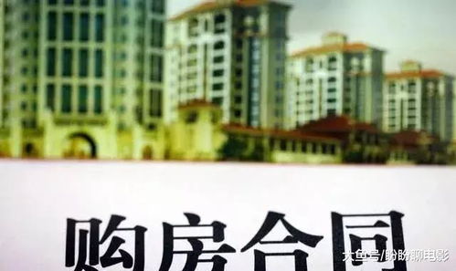 现房与期房，购房者的抉择指南