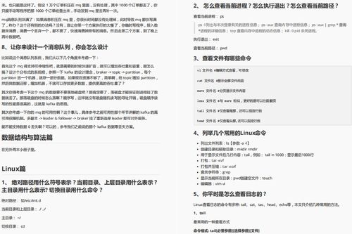 揭开进口货物报关单查询的神秘面纱，你的货物通关指南