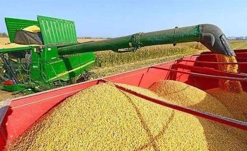 农业部长直面热点，农业政策、粮食安全与未来农业发展