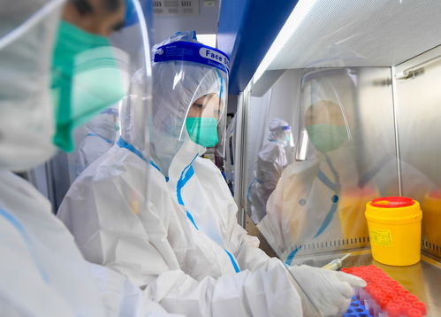 呼和浩特战疫新动态，新增4例阳性感染者，市民如何共同应对？