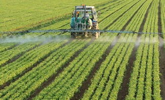 土地流转，农业现代化的催化剂与挑战