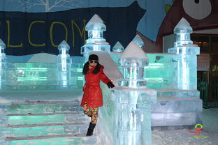 探索冰雪奇缘，哈尔滨冰雪大世界的门票之旅