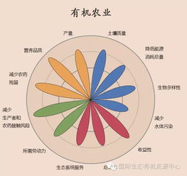 蓝色经济的未来，海域使用论证与可持续发展