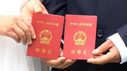 结婚证上的浪漫象征，揭秘结婚证上的花卉图案