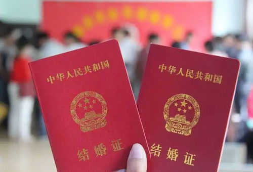 结婚证上的浪漫象征，揭秘结婚证上的花卉图案