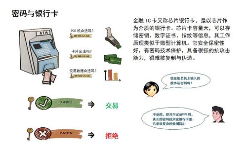 密码法的施行日期，保护信息安全的里程碑