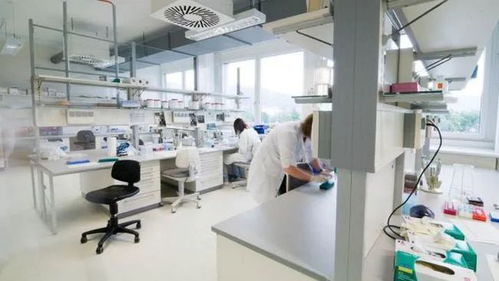 揭开DNA鉴定费用的神秘面纱，从实验室到生活