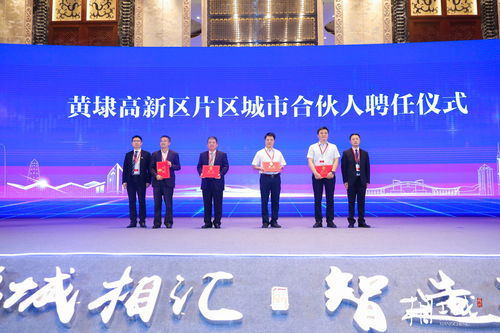 苏州国税局，税收服务的创新与挑战