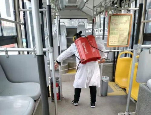 成都疫情最新动态，防控措施、影响及未来展望