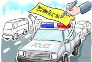 郑州宝马女刘育红事件，社会道德与法律界限的探讨