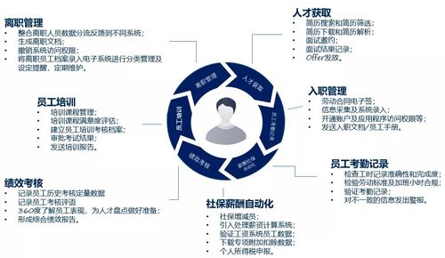 深入了解人事代理，企业人力资源管理的得力助手