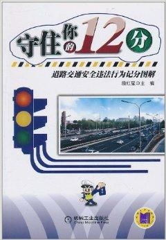 道路正义的守护者，交通违章投诉指南