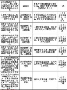 大学生创业贷款全攻略，流程、条件与实用技巧