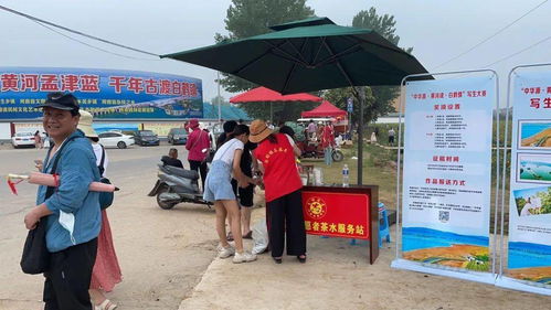 桐乡公证处，法律服务的桥梁与保障