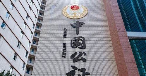 桐乡公证处，法律服务的桥梁与保障